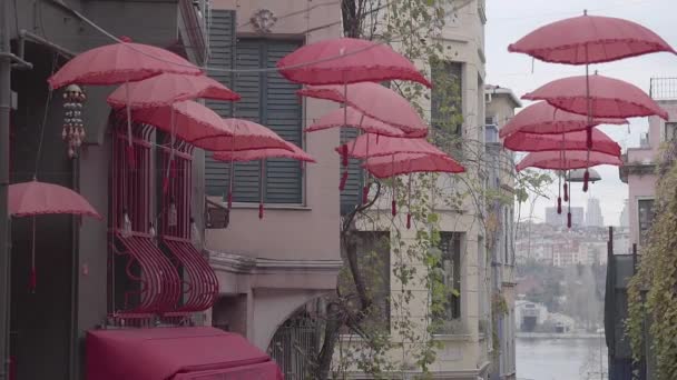 Parapluies Roses Cerisier Fleur Accrocher Sur Rue Clip Vidéo