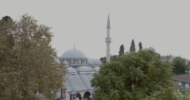 Istanbul Besiktas Přímořské Sinan Pasa Mosque Letecký Pohled — Stock video