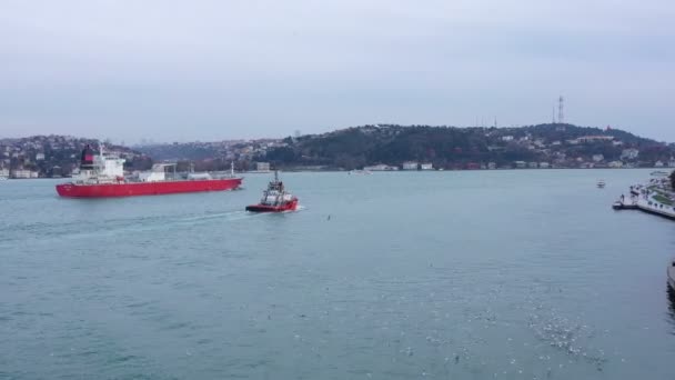 Istanbul Bosphorus Lpg Cargo Ship Floating Seagulls Aerial View — Stock Video