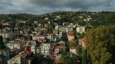 Sahil kasabası ağaçları ile havadan görünümü