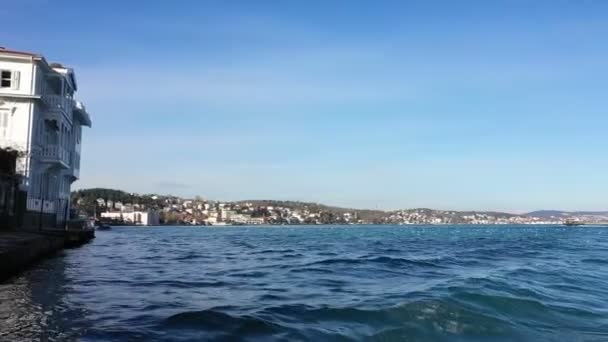 Istanbul Bosphorus Havet Och Fiskmåsarna Flygfoto — Stockvideo