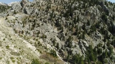 Doğa orman ve dağ havadan görünümü
