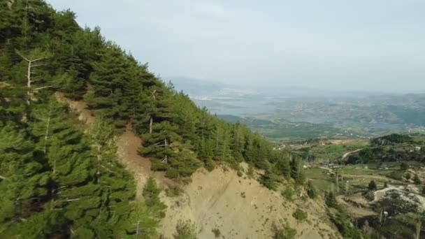 Bosque Natural Vista Aérea Montaña — Vídeo de stock