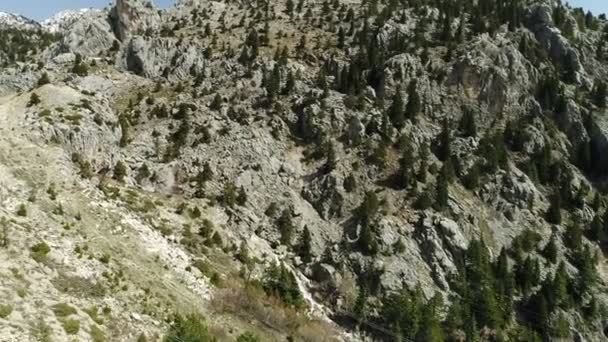 Bosque Natural Vista Aérea Montaña — Vídeo de stock