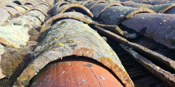 古い本物の屋根 古いセラミック片 時間の経過とともに作成された苔と地衣類と古代のタイル 赤みを帯びた質感の背景 — ストック写真