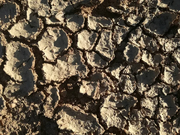 Terreno Con Grietas Ausencia Lluvia Grave Sequía Tierra Seca Marrón — Foto de Stock