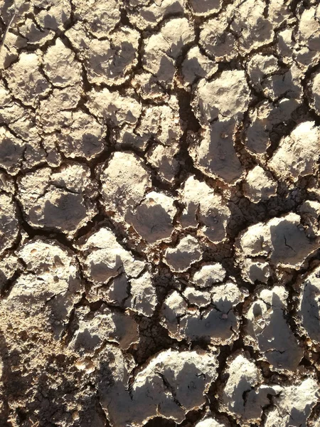 Terrain Cracks Absence Rain Severe Drought Brown Dry Land Rural — Stock Photo, Image
