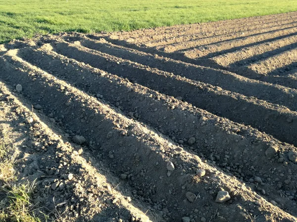 Terras Agrícolas Arborizadas Sulcos Paisagem Rural Para Horizonte Sem Semeadura — Fotografia de Stock