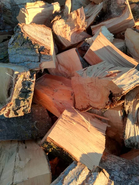 切り取られた薪の山 積み重ねられ 保存される前に 太陽の下で屋外で乾燥するのこぎりと切り取られた木の幹 — ストック写真