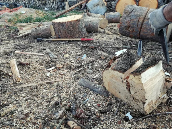 铁楔子的细节 以分裂木材树干 砍柴的工作 高加索人樵夫 — 图库照片