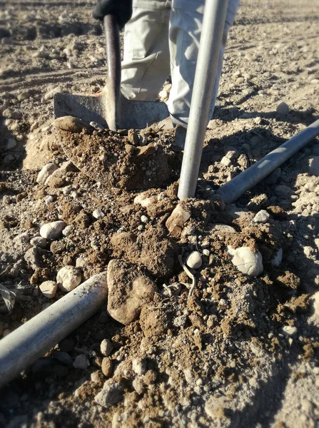 Worker Adding Soil Irrigation Pipes Prevent Wind Knocking Sprinkler Line — Stock Photo, Image
