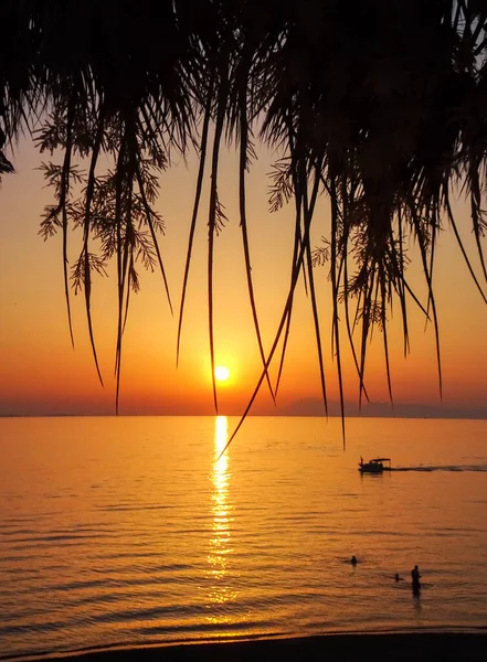 Sunset on the beach. Beach sunset. Ocean water, palm trees, high contrast. Tourism and summer vacation.  Palm trees against the background of the setting sun and the ocean. Romantic beach sunset.