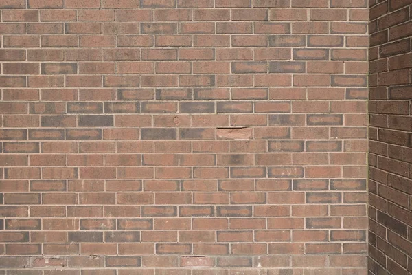 Червона відкрита цегляна стіна з бетонними з'єднаннями — стокове фото