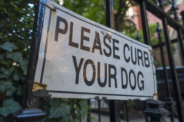 请限制你的狗 — 图库照片