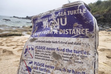Shorline işareti federal ve eyalet deniz kaplumbağası koruma yasaları ve