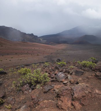 kamp olowalu maui olowalu hekili noktası Maui Hawaii Adası, 
