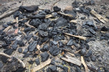 Ahşap külleri Comp 'un ateş gecesi odununun yanmasından kalma.