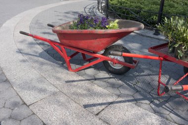 bahçe parkı çalışan çiçekler ile turuncu kırmızı El Arabası