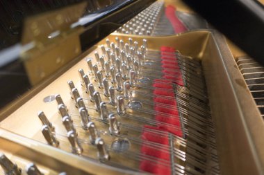 bir kuyruklu piyano nun kaputunun içinde