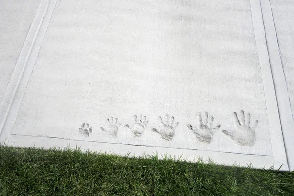 aile artı köpek, el baskılar, kaldırım, çimento, büyük küçük