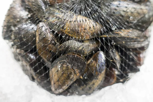 Κλείσιμο των θαλάσσιων τροφίμων μύδια στο δίχτυ συσκευασίας — Φωτογραφία Αρχείου