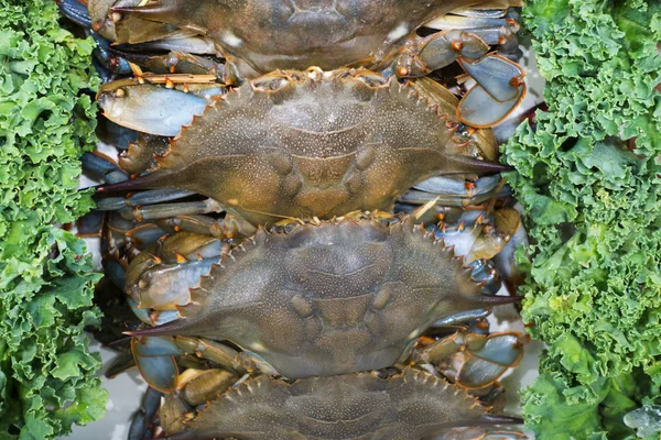 Crabe Carapace Molle Sur Glace Marché Aux Poissons — Photo