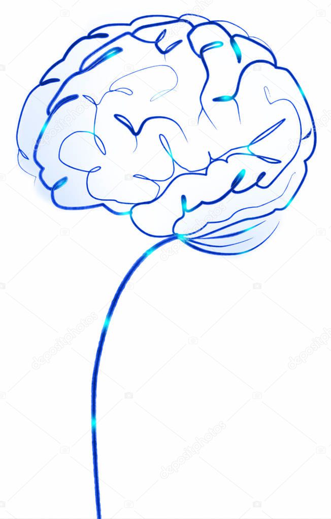 brain activity, line art brain, neurons firing, blue light, thick thin line