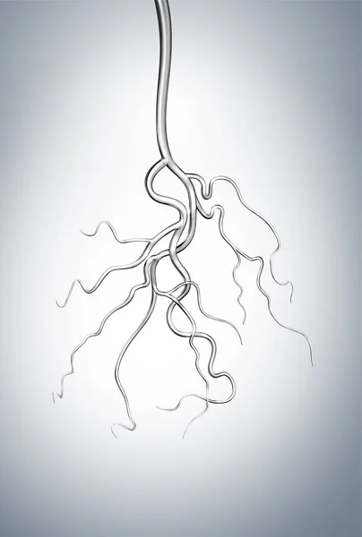 Transparent Clean Glass Artery Vein — Stock Photo, Image