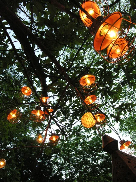 Patrząc na uroczysty wiszące żółte pomarańczowe światła z drzewa Lim — Zdjęcie stockowe