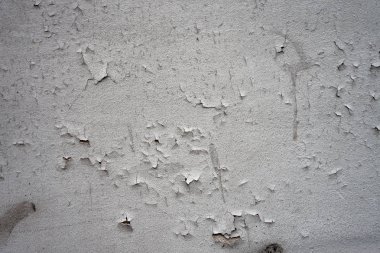 Sıkıntılı Chipping çatlama beyaz duvar arka plan zemin metin