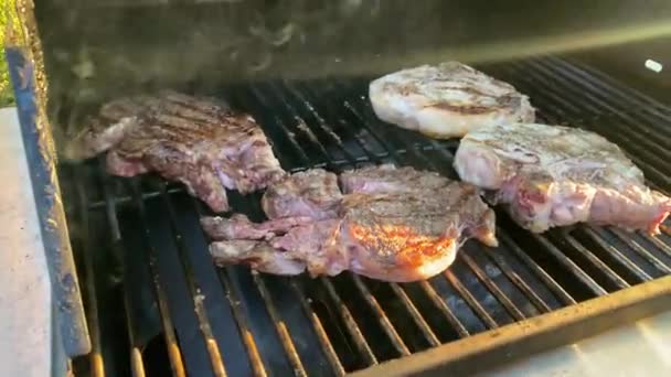 Steaks Pork Chops Gas Powered Outdoor Backyeard Grill — Stock Video