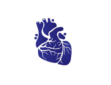 İnsan kalbinin katı mavinin vektör grafik çizimi sembolü