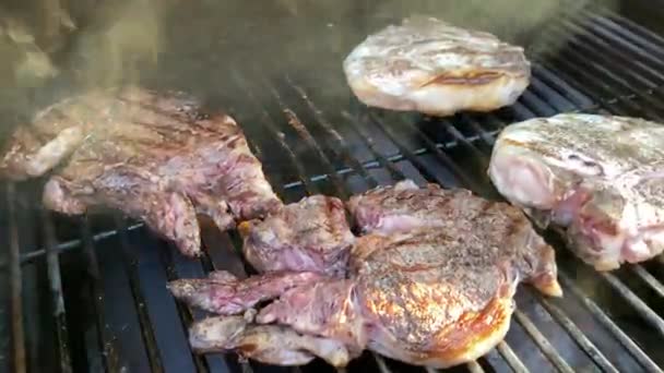 Biftek Domuz Pirzolası Gaz Gücüyle Çalışan Bir Izgarada — Stok video