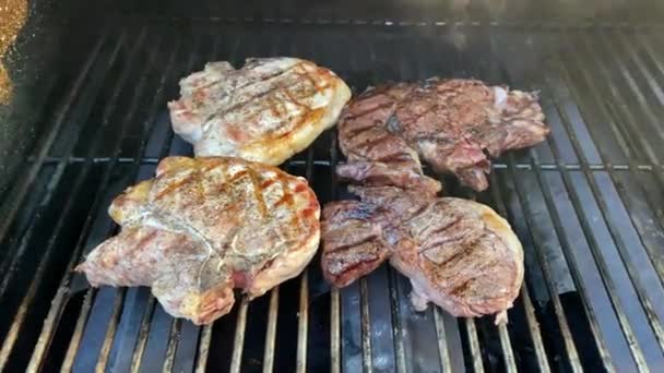 Steak Dan Daging Babi Pada Pemanggang Belakang Bertenaga Gas Outdoor — Stok Video