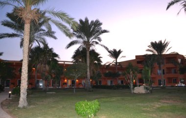 Otel binalarının arka planına karşı yeşil çim üzerinde Palmiye ağaçları