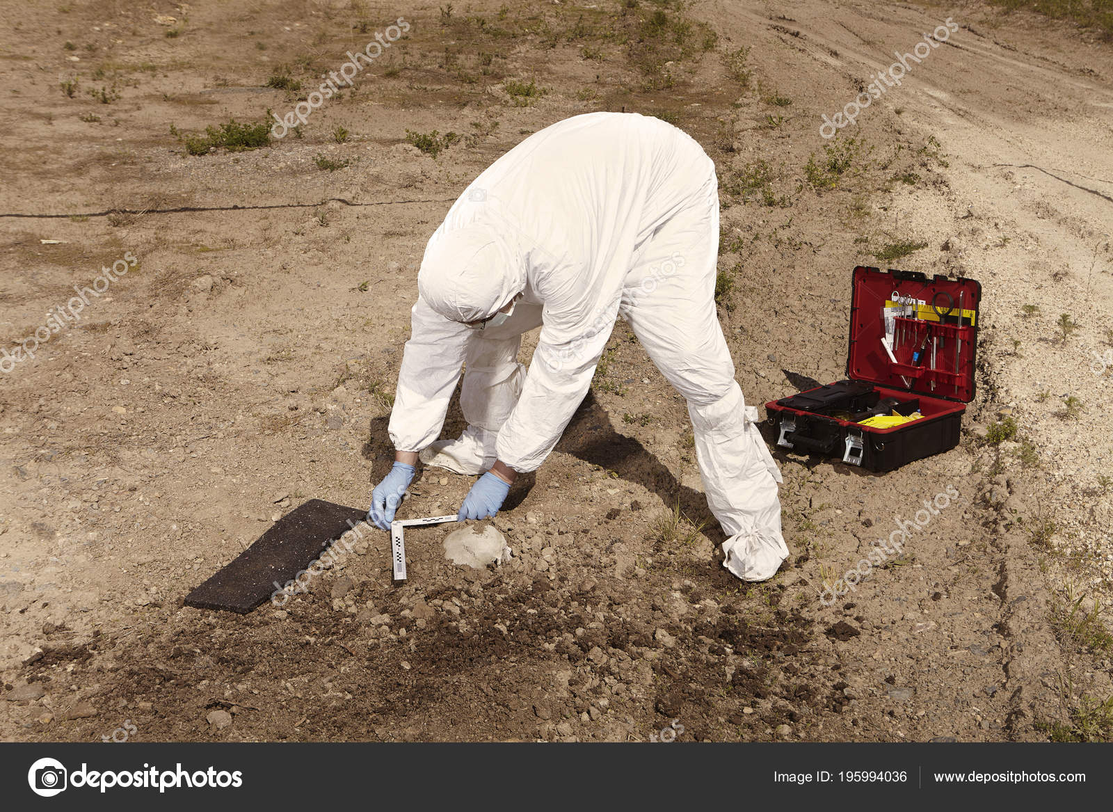 Crime Scene Investigation Human Skull Found Plain Construction Yard Work —  Stock Photo © Couperfield #195994036, image size:1600x1167