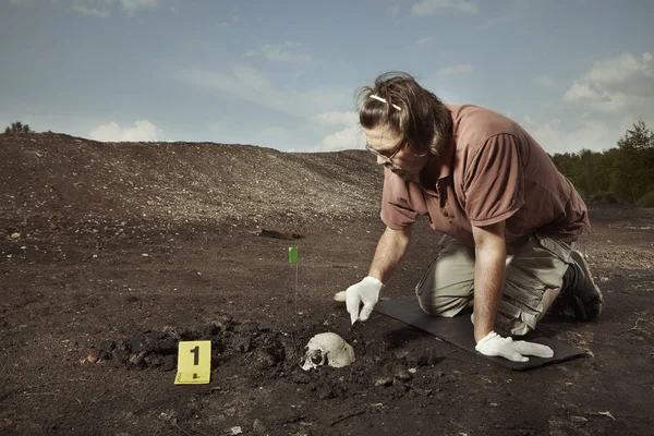 Uncovering of old human grave and skull on summer terrain excavations on field location
