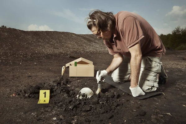 Descubrimiento Antigua Tumba Humana Cráneo Las Excavaciones Terreno Verano Ubicación — Foto de Stock