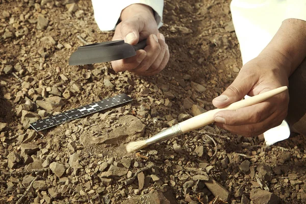 Científico Terreno Que Busca Fósiles Trilobites Suelo — Foto de Stock