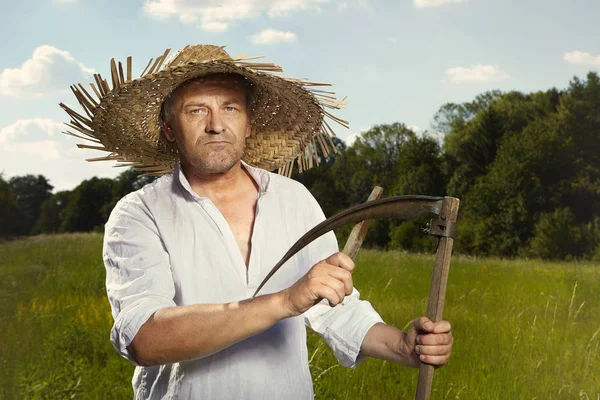 Dorf Naturlandmann Auf Sommerwiese Schärft Sense Mit Spitzstein — Stockfoto