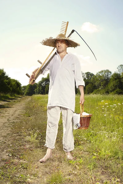 Villaggio Naturale Uomo Campagna Sul Prato Estivo Falciare Erba Con — Foto Stock