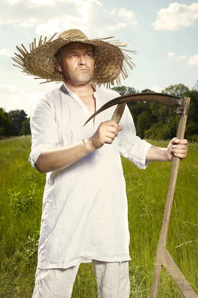 Dorf Naturlandmann Auf Sommerwiese Schärft Sense Mit Spitzstein — Stockfoto