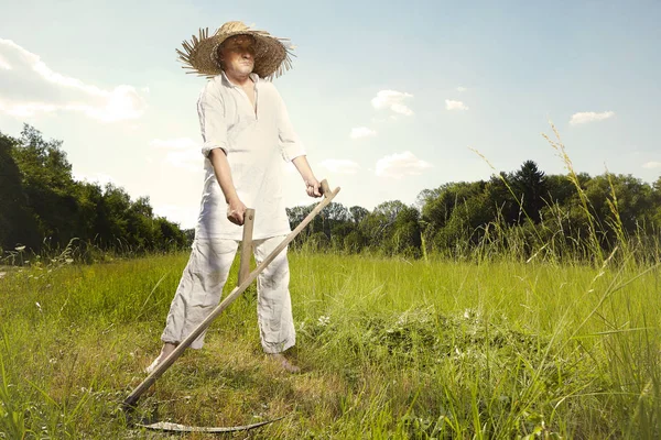 古典的な大鎌で草刈り夏の草原の村自然の国男 — ストック写真
