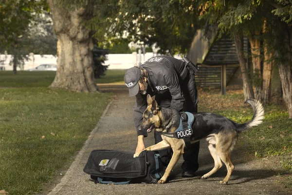 Politieagent Met Zijn Hond Controleren Onbekende Potentieel Gevaarlijke Tas Park — Stockfoto