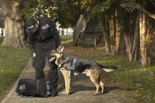 Politieagent Met Zijn Hond Controleren Onbekende Potentieel Gevaarlijke Tas Park — Stockfoto