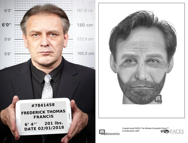 Verdächtiger Dank Guter Polizeiskizze Gefasst — Stockfoto