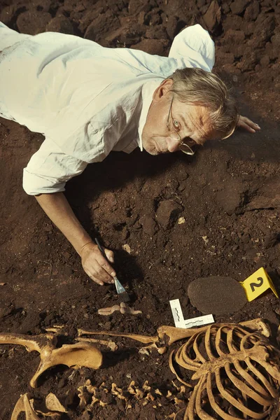 考古学家在户外位置探索古墓 — 图库照片