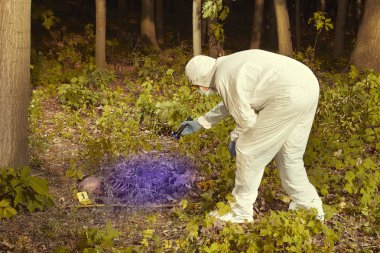 Ormanda bulunan insan kalıntıları - Uv ışık kaynağı ile teknisyen tarafından bulmak kontrol