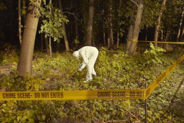 Ormanda bulunan yaşlı insan kalıntıları - polis tarafından iskelet toplama