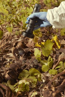 Ormanda bulunan yaşlı insan kalıntıları - polis tarafından iskelet toplama
